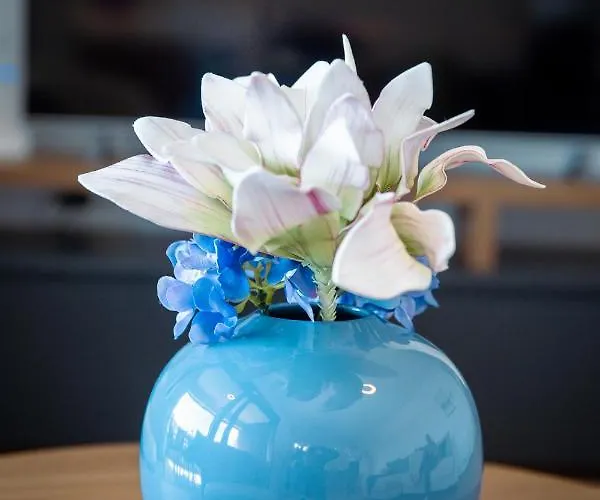 Pr Premium 로비니