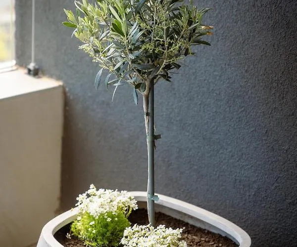 Apartamento Pr Premium Rovinj